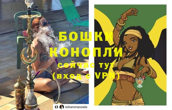 твердый Инсар