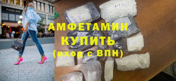твердый Инсар