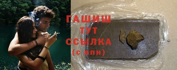 твердый Инсар