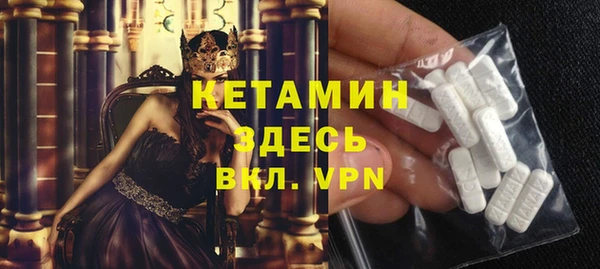 твердый Инсар