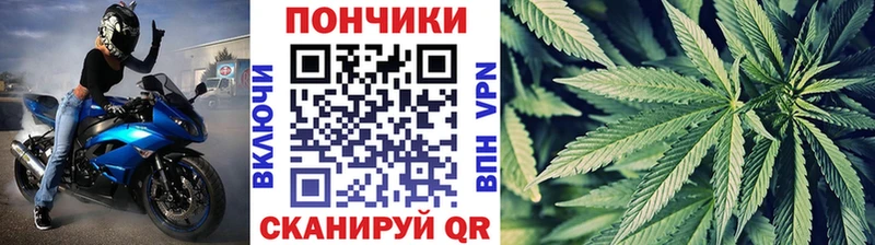 Канабис LSD WEED  купить закладку  Новосибирск 